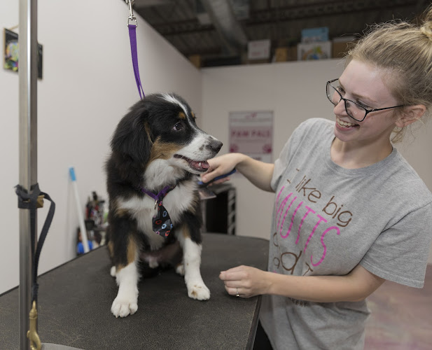 Woof Gang Bakery & Grooming Starland