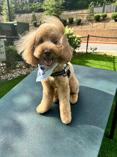 Woof Gang Bakery & Grooming The Works