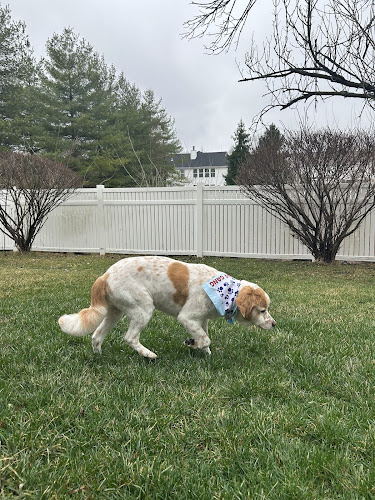 Woof Gang Bakery & Grooming Town and Country