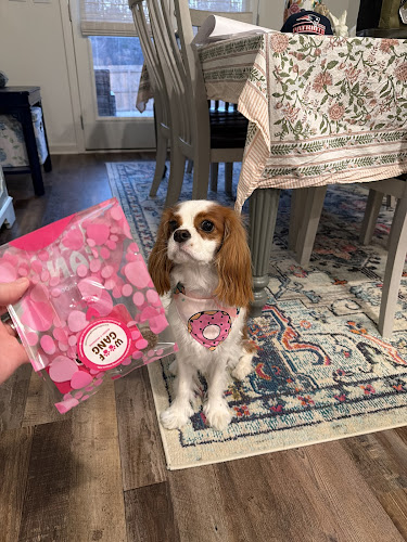 Woof Gang Bakery & Grooming Vestavia Hills