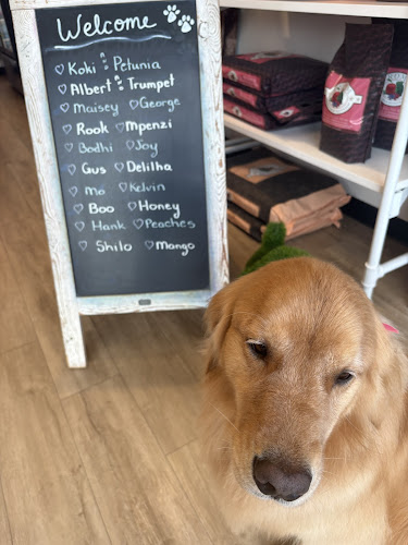 Woof Gang Bakery & Grooming Virginia Beach