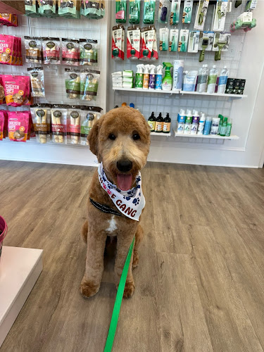 Woof Gang Bakery & Grooming Wayne