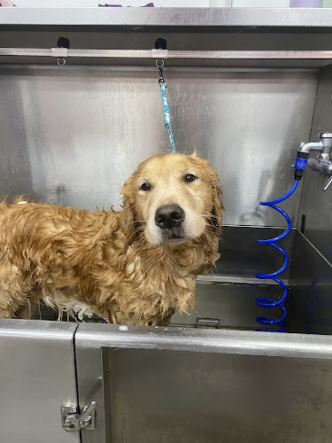 Woof Gang Bakery & Grooming West U