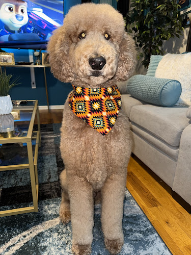 Woof Gang Bakery & Grooming Yardley