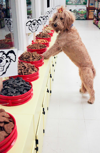 Woofers Grooming & Goodies