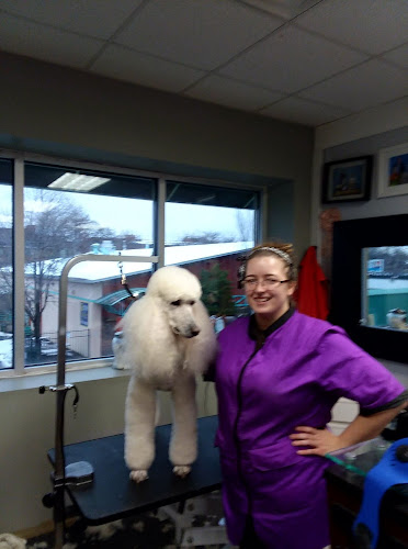 Woofs and Wags Pet Lodge