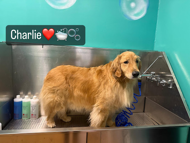 Woofs & Paws Pet Spaw