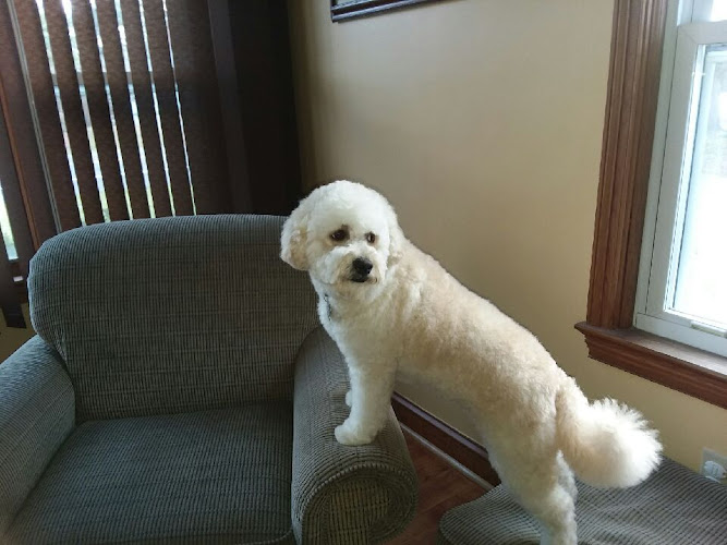 Yarn & Bone Pet Supply Company