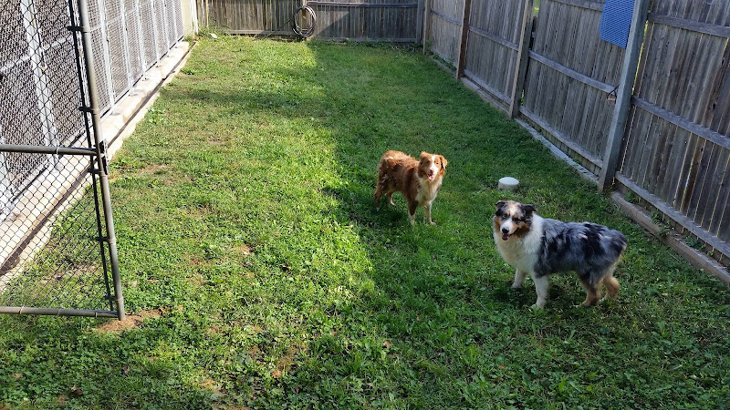 Yetto's Bed & Biscuit