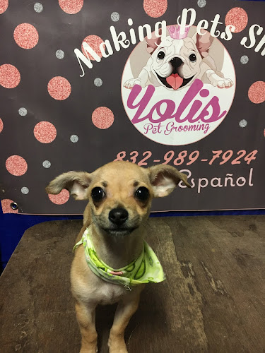 Yolis Pet Grooming