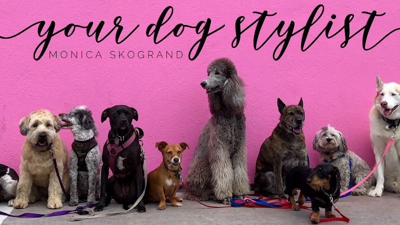 Your Dog Stylist- Monica Skogrand