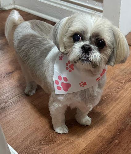 Your Pet’s Paradise