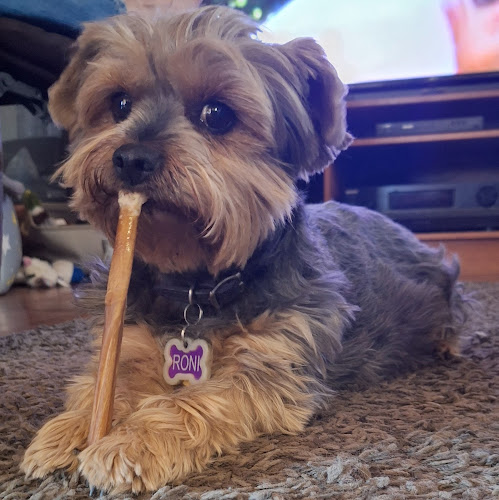 Yvonnes Pet Grooming