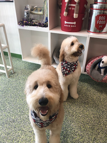 Zeus’ Place Downtown