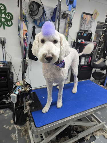 Zippity-Doo-Dawgs,LLC /Tan Your Paws