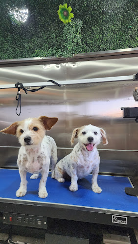 ZIZORA Mobile Pet Salon