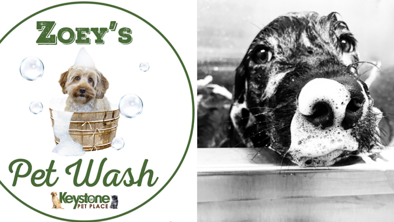 Zoeys Pet Wash