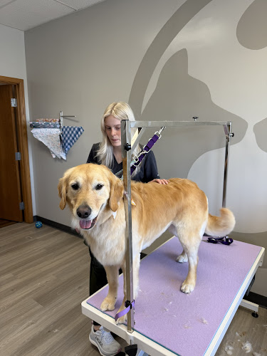 Zoom Groom Inver Grove